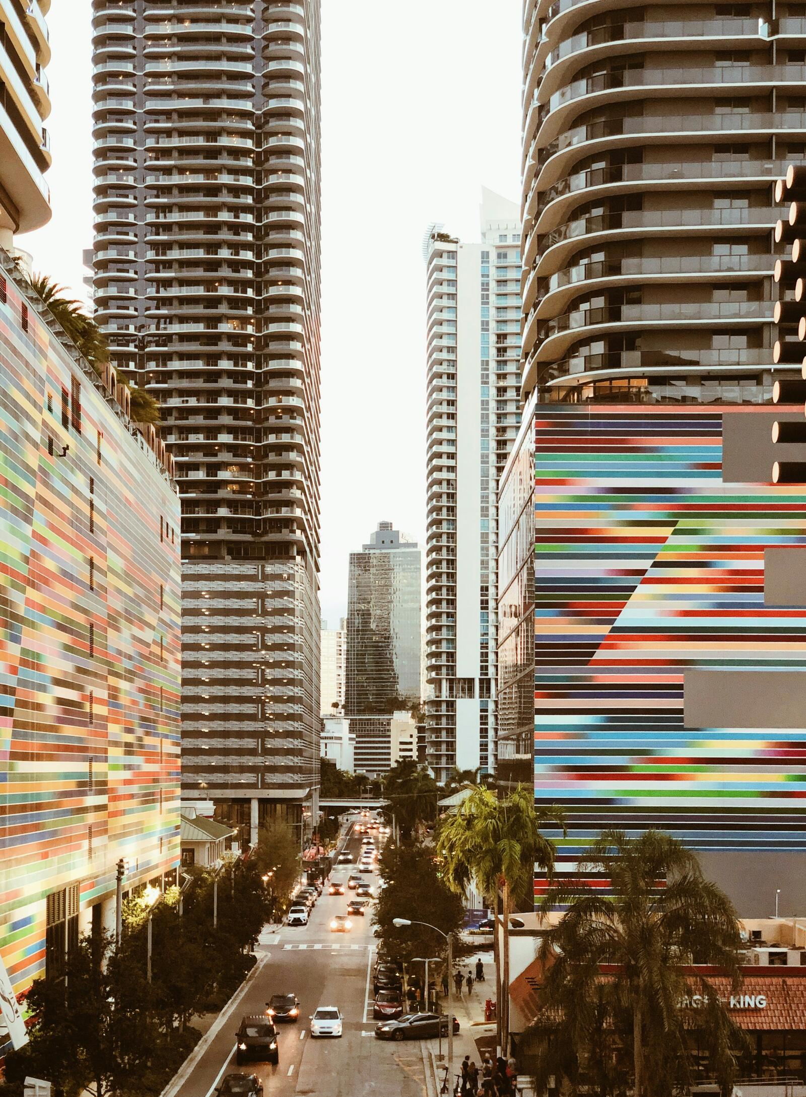 Brickell architecture and palm-lined street